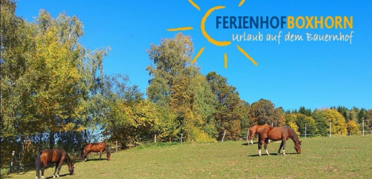 Woferlhof, Ferienhof Boxhorn Bobrach Экстерьер фото